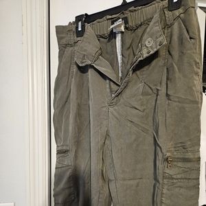 Express pants
